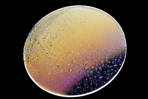 Hydrofob